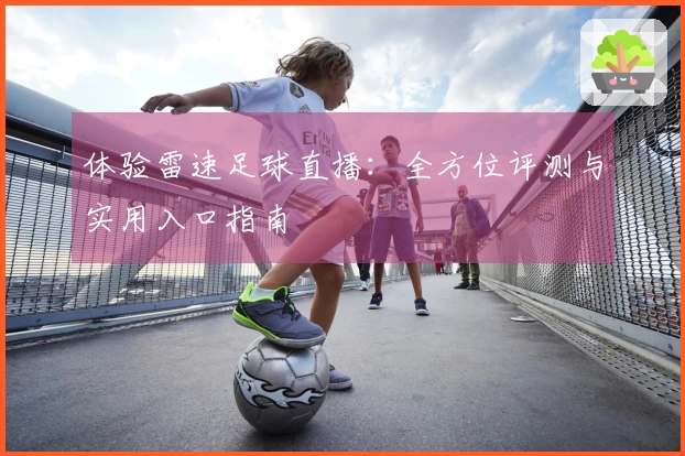 体验雷速足球直播：全方位评测与实用入口指南