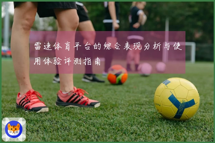 雷速体育平台的综合表现分析与使用体验评测指南